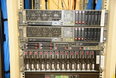 DSC_1348 (Large).JPG